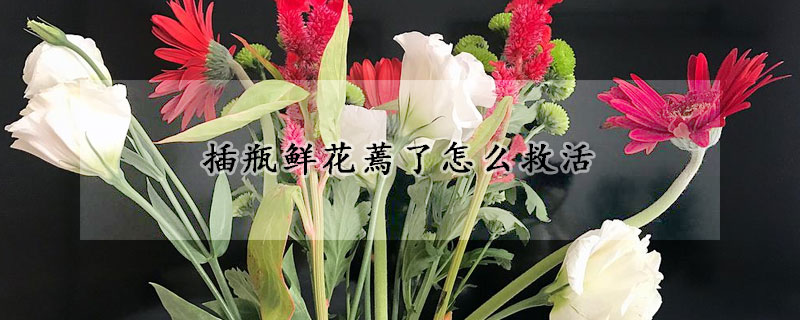 插瓶鮮花蔫了怎么救活