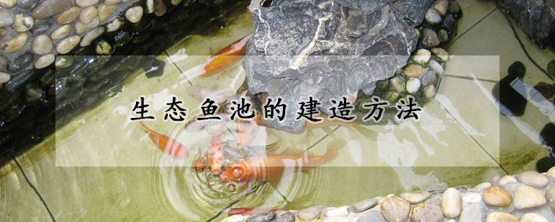 生態(tài)魚池的建造方法