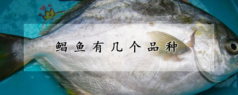 鯧魚有幾個品種