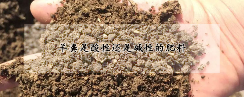 羊糞是酸性還是堿性的肥料