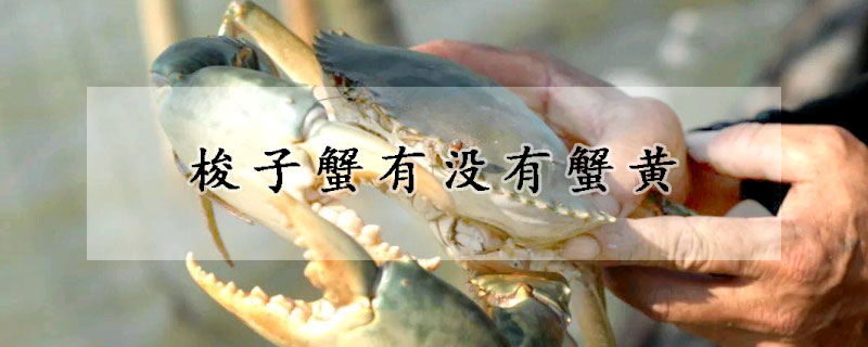 梭子蟹有沒有蟹黃