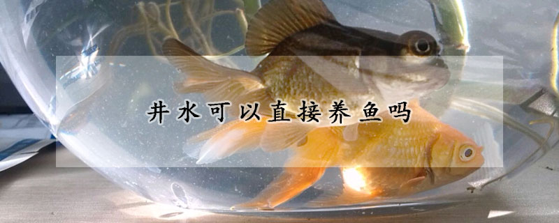 井水可以直接養(yǎng)魚(yú)嗎