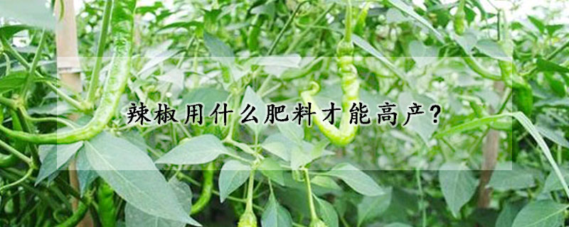 辣椒用什么肥料才能高產?