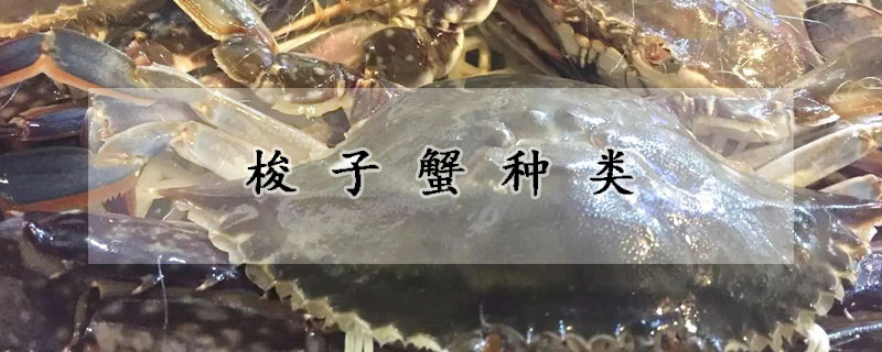 梭子蟹種類(lèi)