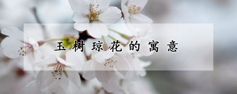 玉樹(shù)瓊花的寓意