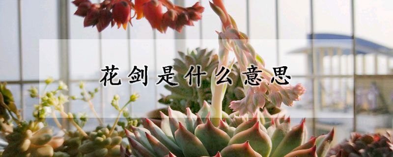 花劍是什么意思