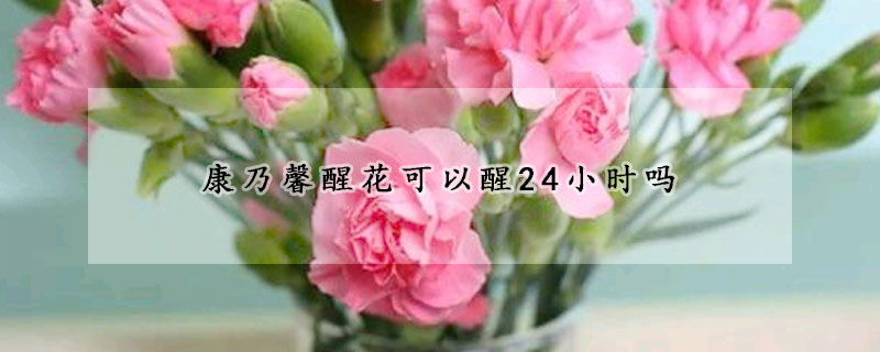 康乃馨醒花可以醒24小時嗎