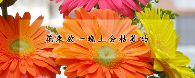 花束放一晚上會枯萎嗎