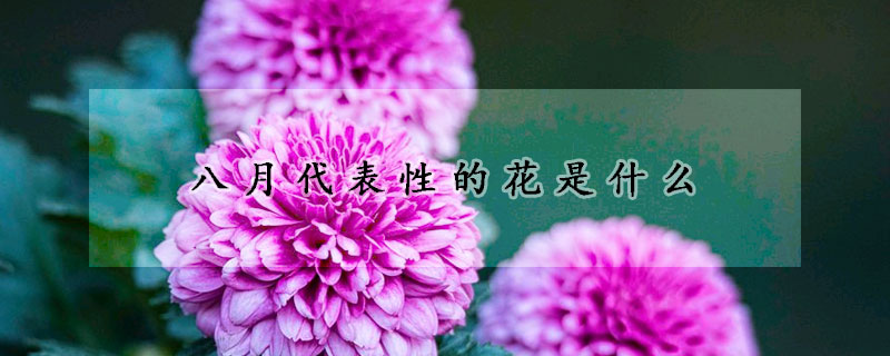 八月代表性的花是什么