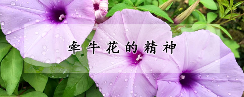 牽?；ǖ木?></a></div>
                    </div>
                    <h3><a href=