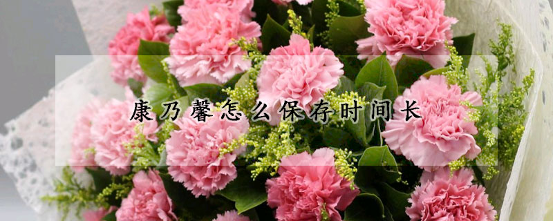 康乃馨怎么保存時(shí)間長(zhǎng)