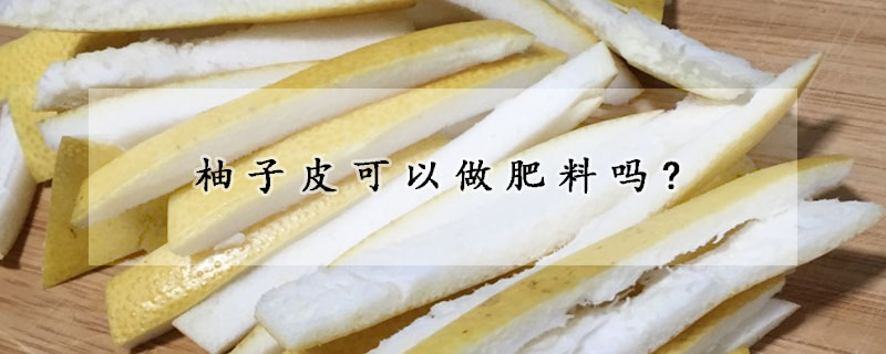 柚子皮可以做肥料嗎?