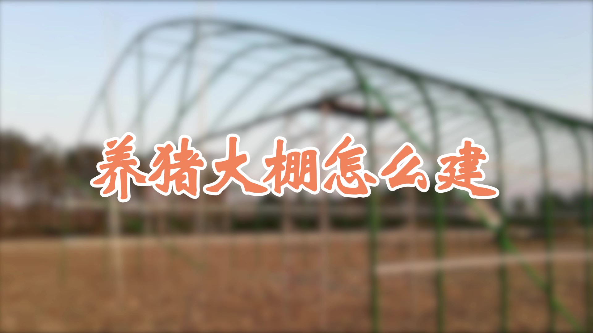 養豬大棚怎么建