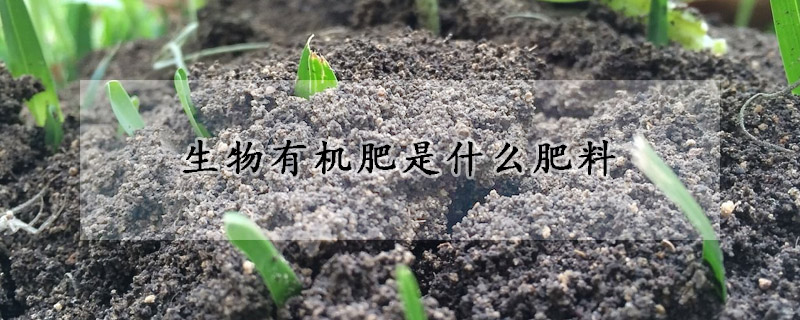 生物有機肥是什么肥料