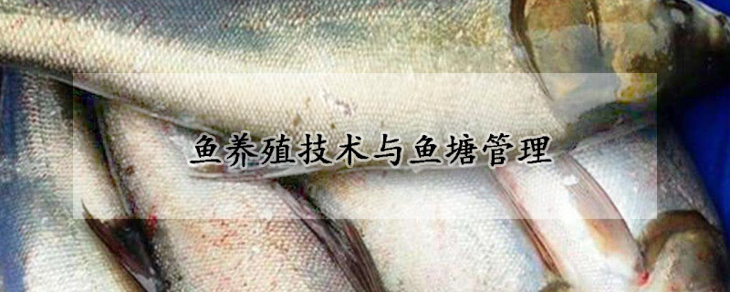 魚養殖技術與魚塘管理