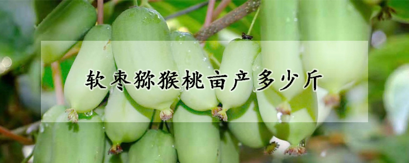 軟棗獼猴桃畝產(chǎn)多少斤