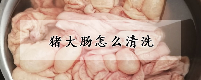 豬大腸怎么清洗