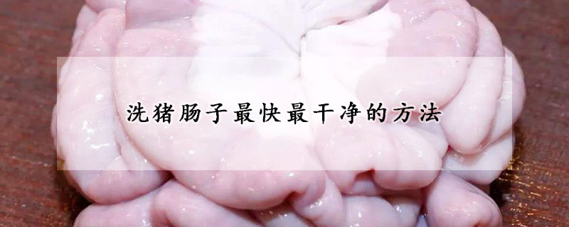 洗豬腸子最快最干凈的方法