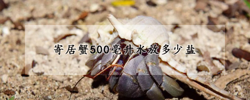 寄居蟹500毫升水放多少鹽