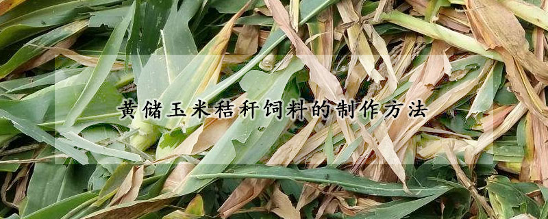 黃儲(chǔ)玉米秸稈飼料的制作方法