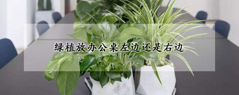 綠植放辦公桌左邊還是右邊