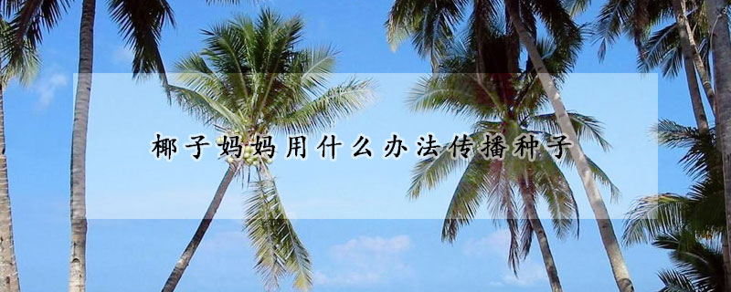 椰子?jì)寢層檬裁崔k法傳播種子