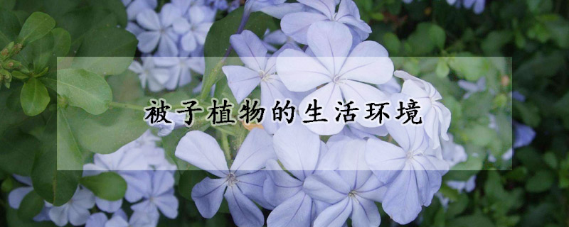 被子植物的生活環(huán)境