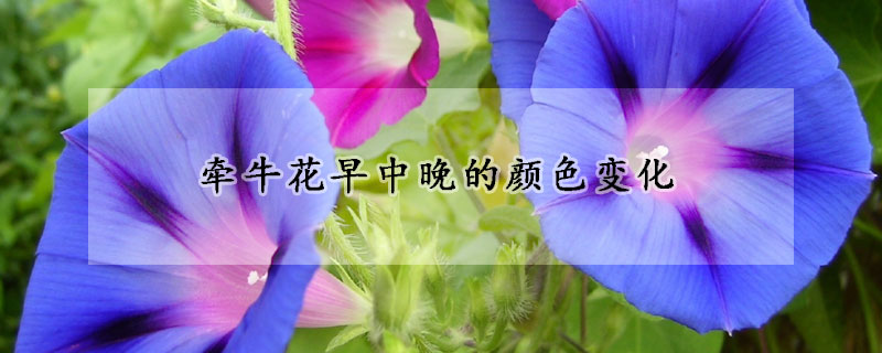 牽?；ㄔ缰型淼念伾兓?></a></div>
                    </div>
                    <h3><a href=