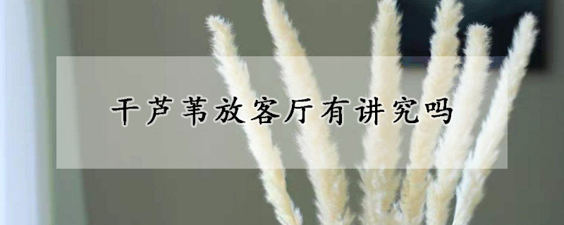 干蘆葦放客廳有講究嗎