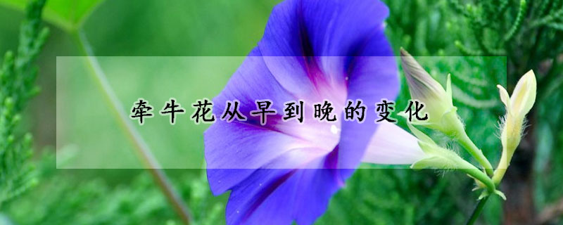 牽?；◤脑绲酵淼淖兓?></a></div>
                    </div>
                    <h3><a href=