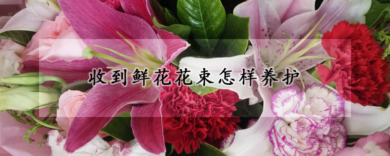 收到鮮花花束怎樣養(yǎng)護(hù)