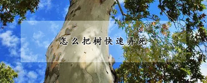 怎么把樹快速弄死