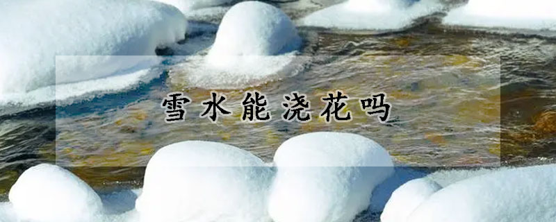 雪水能澆花嗎