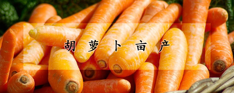 胡蘿卜畝產(chǎn)