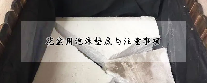 花盆用泡沫墊底與注意事項