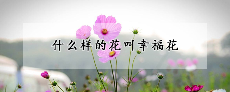 什么樣的花叫幸?；?></a></div>
                    </div>
                    <h3><a href=