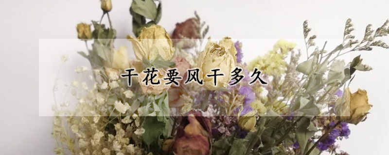 干花要風干多久