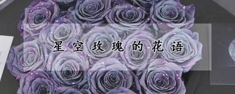 星空玫瑰的花語