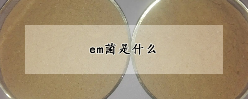 em菌是什么