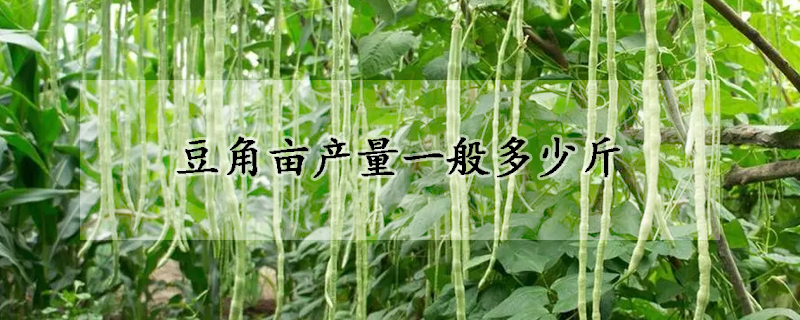 豆角畝產(chǎn)量一般多少斤