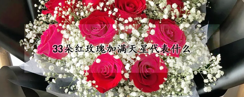 33朵紅玫瑰加滿天星代表什么