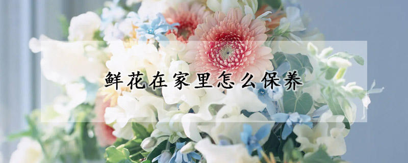 鮮花在家里怎么保養