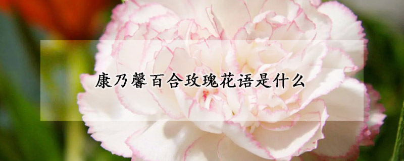 康乃馨百合玫瑰花語(yǔ)是什么