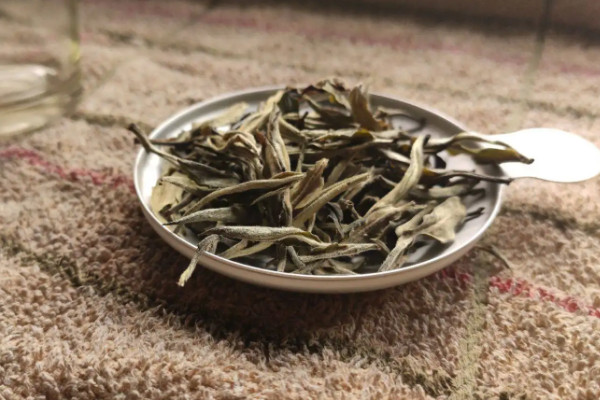 白茶是綠茶還是烏龍茶 白茶是什么茶