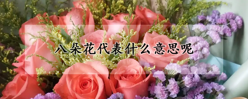 八朵花代表什么意思呢