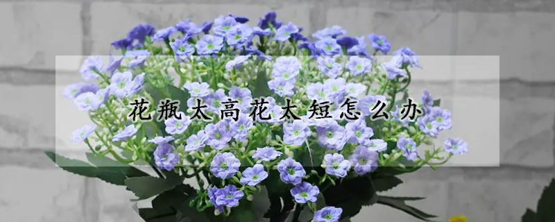 花瓶太高花太短怎么辦