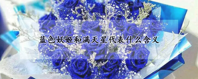 藍色妖姬和滿天星代表什么含義