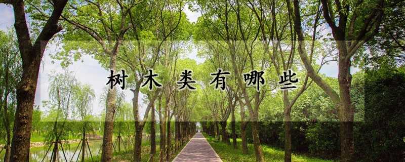 樹(shù)木類有哪些