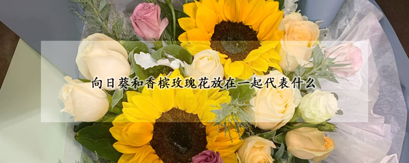 向日葵和香檳玫瑰花放在一起代表什么