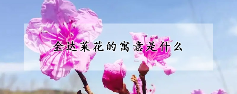 金達萊花的寓意是什么